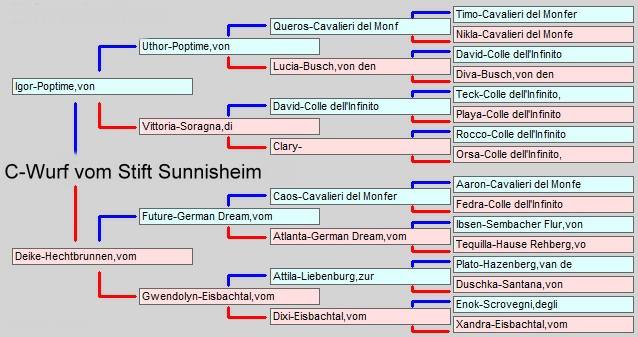 Ahnentafel C-Wurf